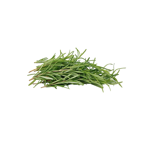 Rosemary