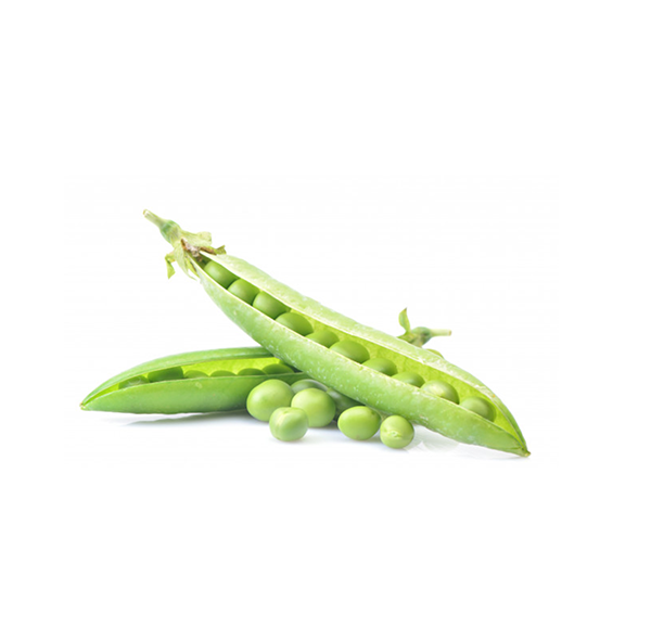 Pea